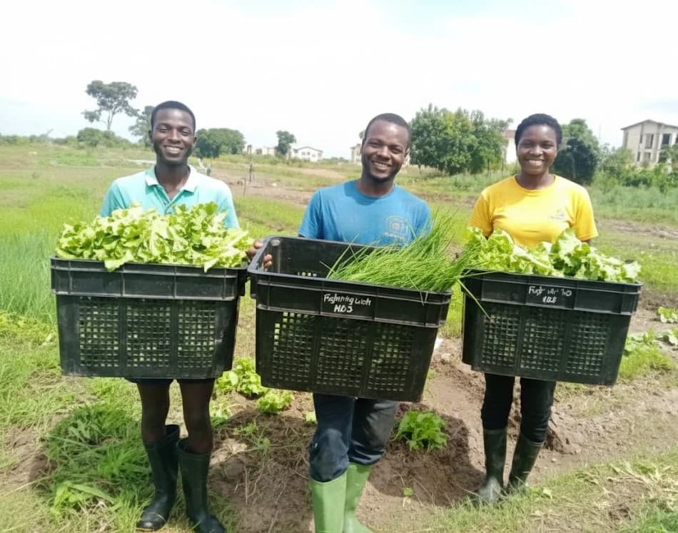 Skilled agricultural workers